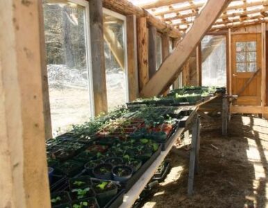 Spring Planning Image